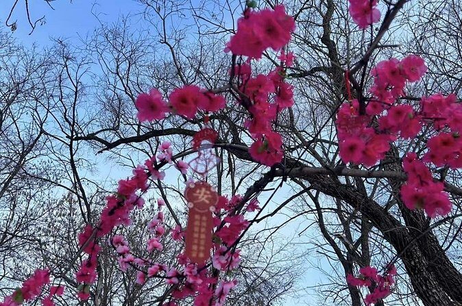 One Day Harbin Winter Expedition Jingpo Lake Sunrise and Fishing - FAQs