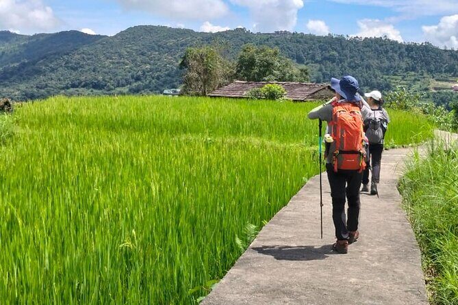 One Day Hike to Australian Camp and Dhampus - The Sum Up