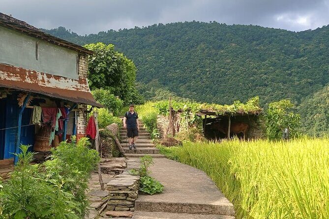 One Day Hike to Australian Camp and Dhampus - FAQ