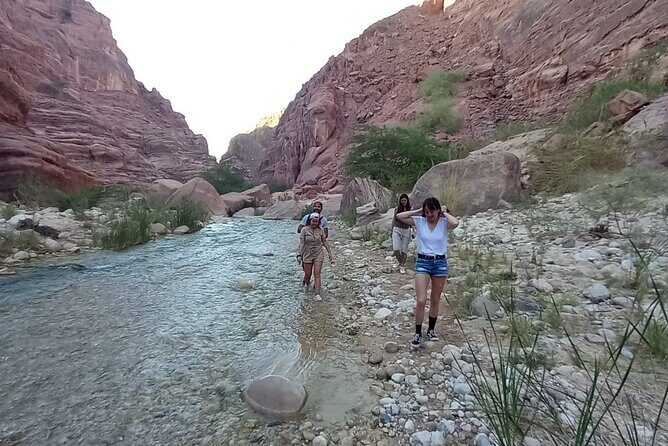 One Day Hiking Wadi Al Hasa Canyon - Who Should Consider This Tour?