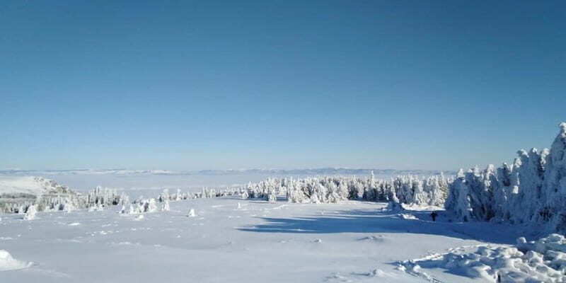 One-Day Hiking with Snowshoes on Vitosha - Introduction