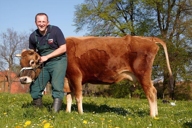 one-day-in-the-polish-countryside-private-tour-from-krakow