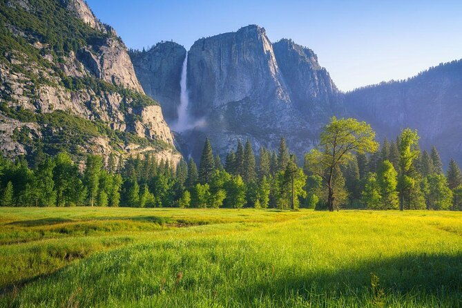 one-day-in-yosemite-private-touryosemite-valley-glacier-point-giant-sequoias