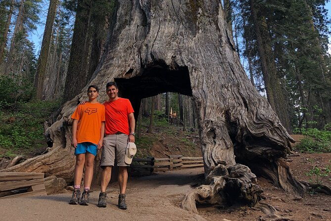 one-day-in-yosemite-private-touryosemite-valley-glacier-point-giant-sequoias