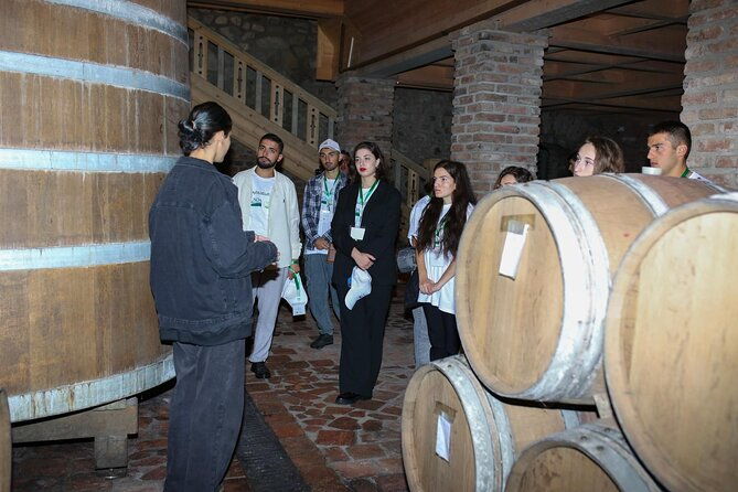 one-day-kakheti-tour-with-wine-tasting-and-free-churchkhela