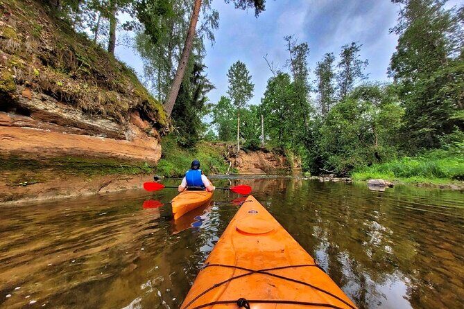 One-Day Kayaking Trip in Gauja River Valley - Pricing and Value