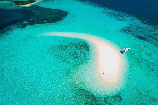 One Day Komodo Trip (Sailing) - Key Points