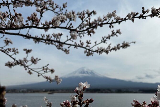 one-day-mountain-fuji-hakone-tour-with-english-hindi-bilingual