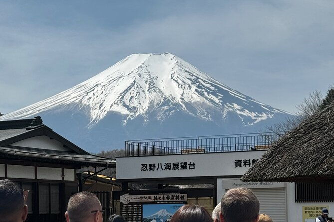 one-day-mountain-fuji-hakone-tour-with-english-hindi-bilingual