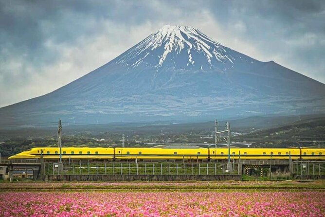 one-day-mountain-fuji-hakone-tour-with-english-hindi-bilingual