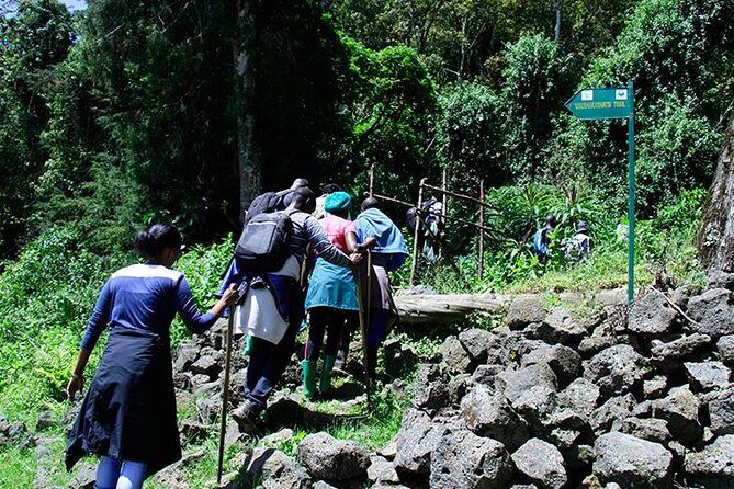 One Day Mt Bisoke Hike Adventure in Volcanoes Park ( 2 Pax Min) - Introduction: Why the Mt. Bisoke Hike in Volcanoes National Park Stands Out