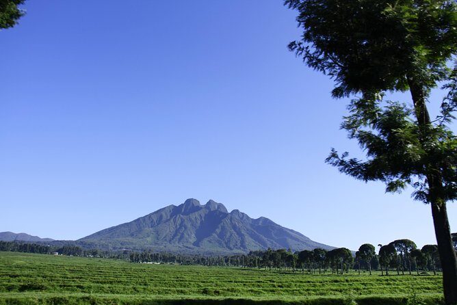 One Day Mt Bisoke Hike Adventure in Volcanoes Park ( 2 Pax Min) - Key Points  