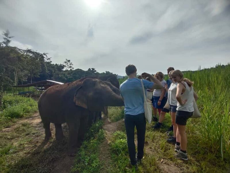 One Day Non Tourist Trek - The Itinerary: What Makes This Tour Special?