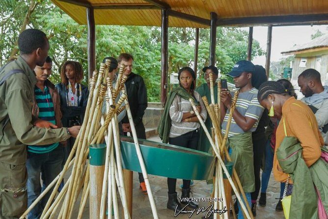One Day Nyungwe National Park Tour& Canopy walk (2 Pax Min) - The Itinerary Breakdown