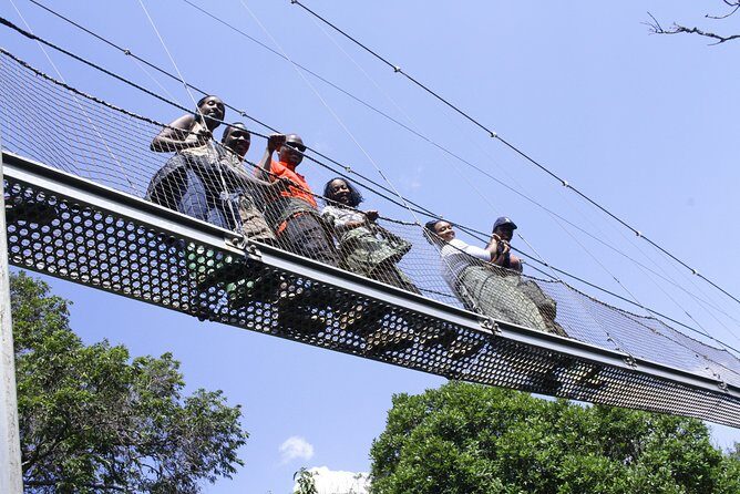 One Day Nyungwe National Park Tour& Canopy walk (2 Pax Min) - What You Can Expect from the Experience
