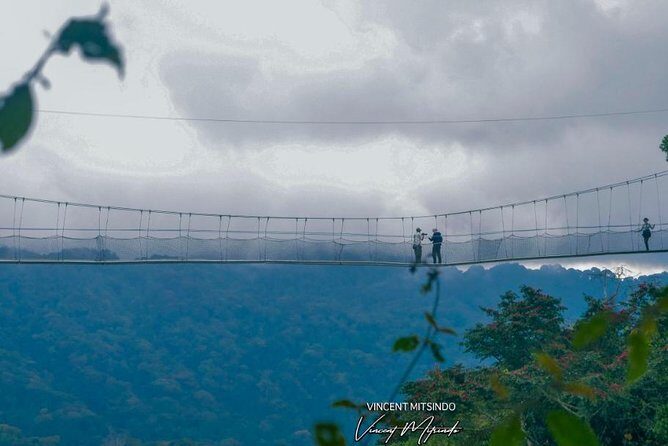 One Day Nyungwe National Park Tour& Canopy walk (2 Pax Min) - Final Thoughts