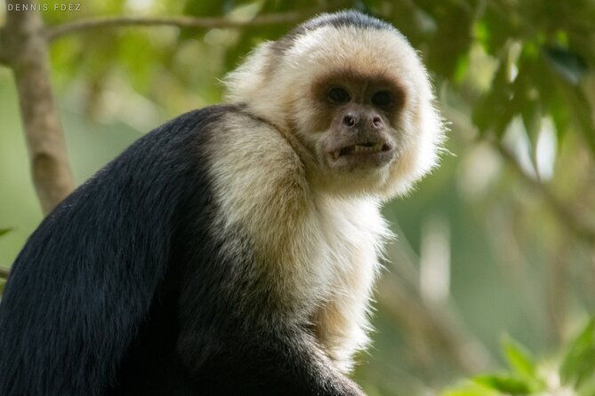 one-day-of-nature-in-monteverde