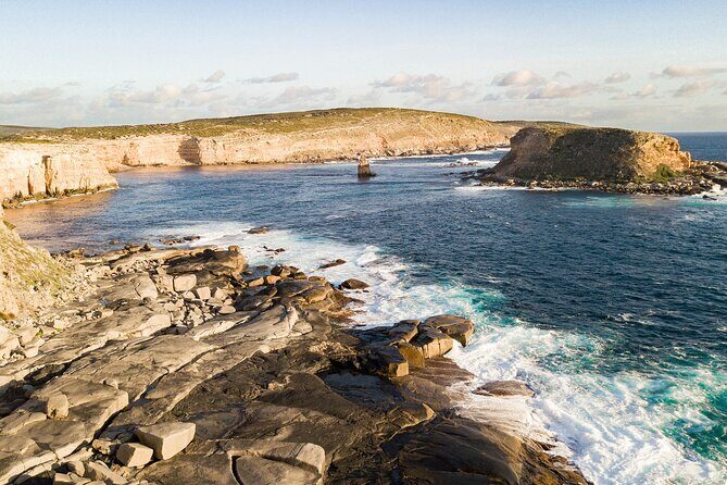 One Day Port Lincoln Tour - Tasting Eyre - Value and Pricing Analysis