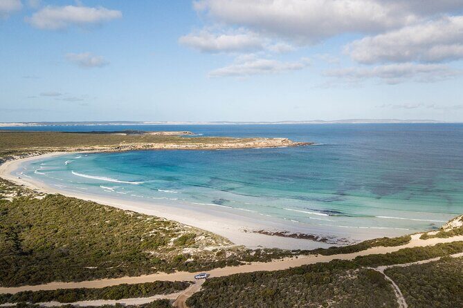 One Day Port Lincoln Tour - Tasting Eyre - Insights from Travelers: What They Loved