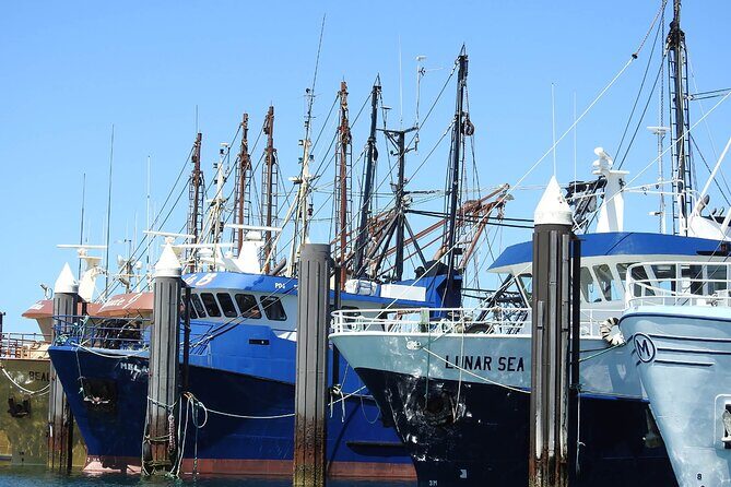 One Day Port Lincoln Tour - Tasting Eyre - Practical Tips for Travelers