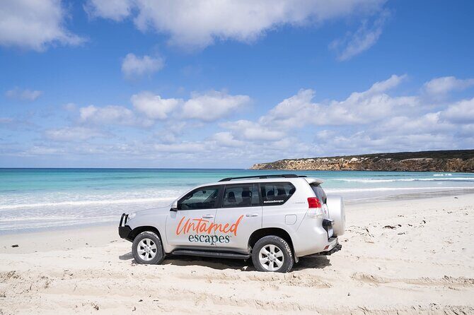 One Day Port Lincoln Tour - Tasting Eyre - The Sum Up: Who Should Consider This Tour?