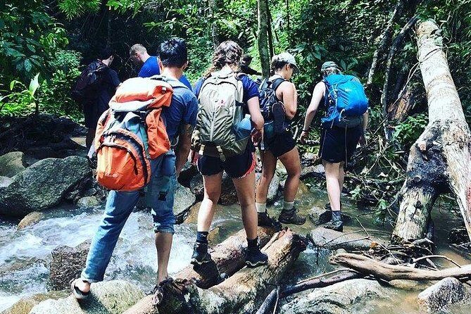 One Day Premier Trek Jungle & Waterfall - Discover the Wonders of Chiang Mai with the One Day Premier Trek Jungle & Waterfall