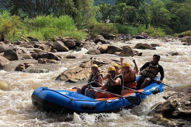 One Day Premier Trek Jungle & Waterfall - Authentic Experiences and Insider Insights