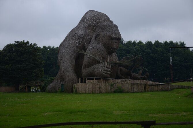 One Day Private Gorillas Tracking in Volcanoes National Park - The Itinerary Breakdown: What to Expect