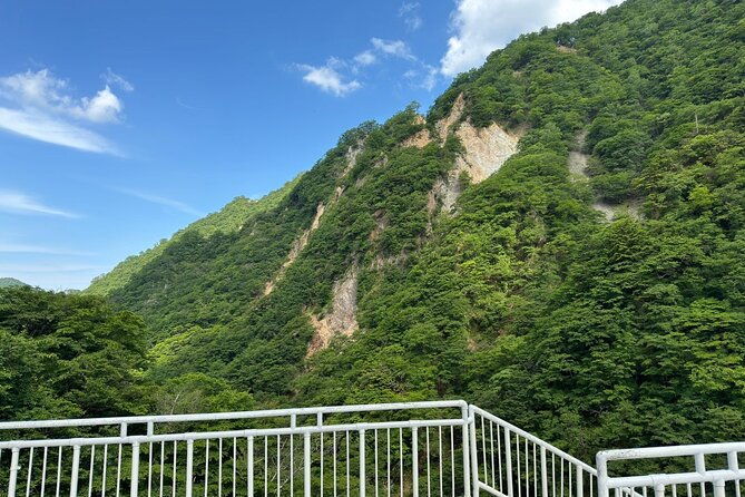 one-day-private-tour-in-nikko-from-tokyo
