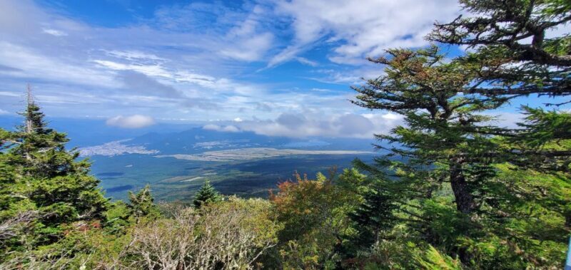 One Day Private Tour of Mount Fuji - Exploring the One Day Private Tour of Mount Fuji: A Practical Review