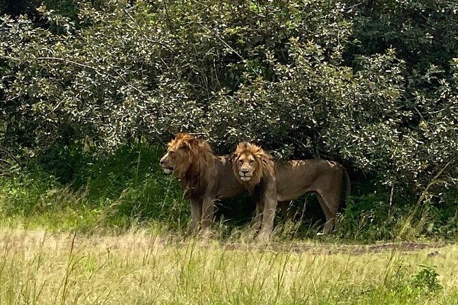 One Day Private Tour to Akagera National Park from Kigali - Key Points