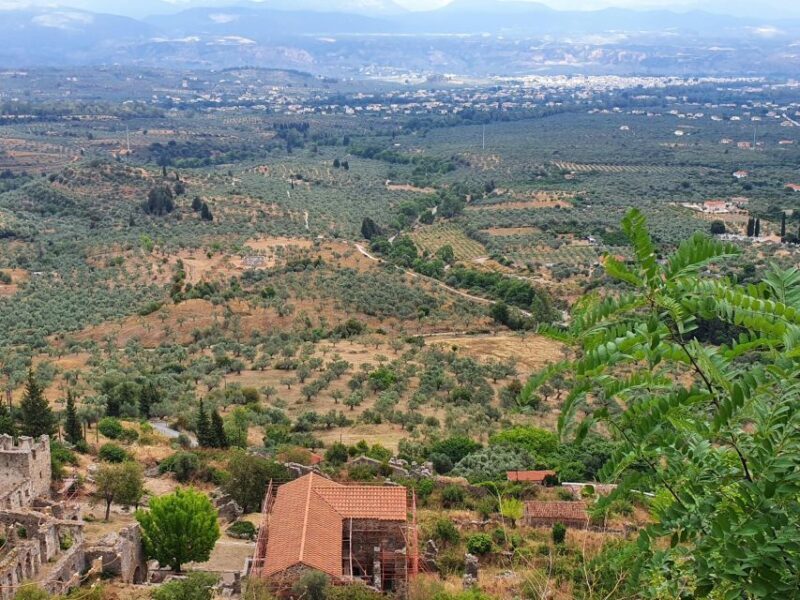 One Day Private Tour to Glory of Ancient Sparta and Mystras - FAQ