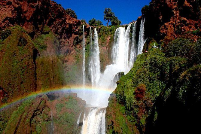 One Day Private Tour To Ouzoud Waterfalls from Marrakesh - Why the Tour Provides Great Value