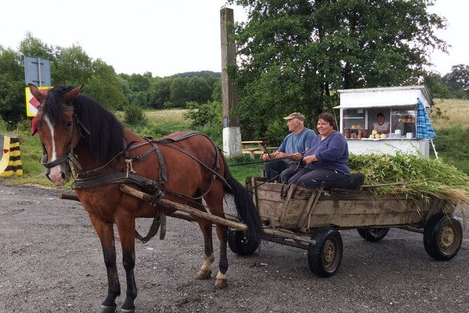 one-day-private-tour-to-peles-and-dracula-castles-brasov-city