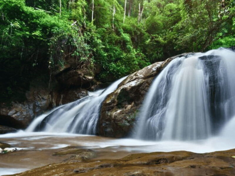 one-day-private-tour-with-driver-temples-mae-sa-waterfall