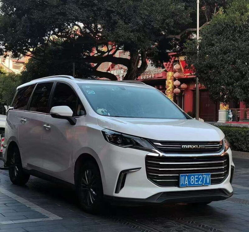 one-day-private-transfer-service-to-leshan-from-chengdu