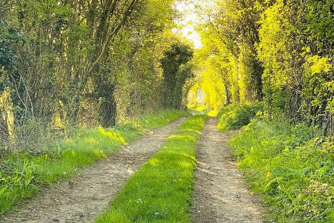 one-day-road-trip-from-london-to-the-cotswolds-2