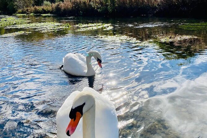 one-day-road-trip-from-london-to-the-cotswolds