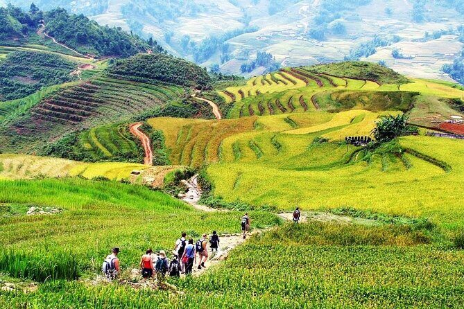 One Day Sapa Trekking Homestay - Detailed Review of Experience Aspects
