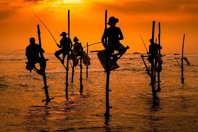 One Day Shore Excursion to Down south Sri Lanka - Transportation and Practicalities