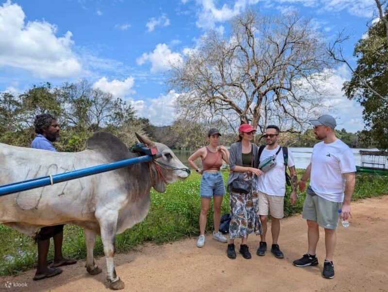One day Sigiriya Sunrise, Dambulla, & Village Tour - Final Thoughts: Is This Tour for You?