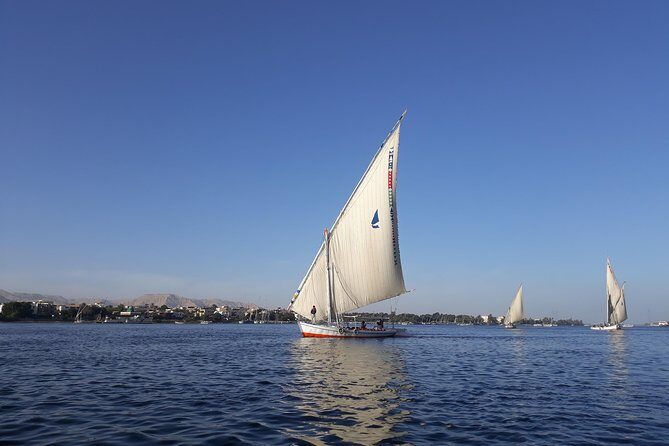 One Day Sunrise Balloon, Sunset Felucca ride, Luxor full-day tour - Discovering Karnak: The Largest Religious Complex