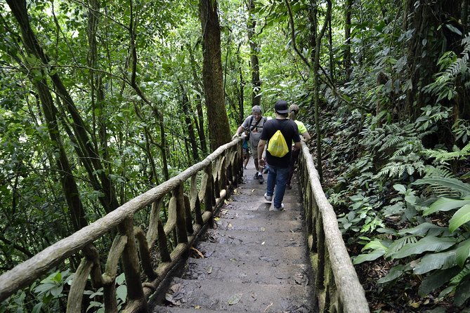 one-day-tour-celeste-river-from-san-jose