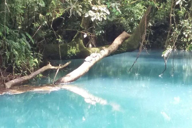 one-day-tour-celeste-river-from-san-jose