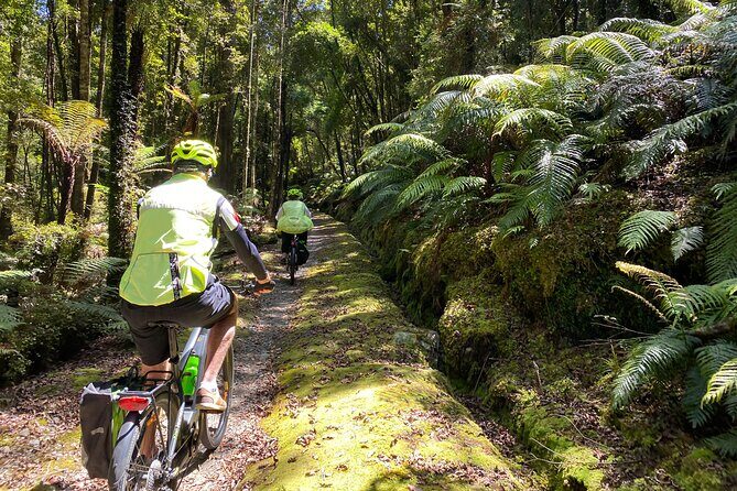 One Day Tour from Hokitika on Wilderness Trail by eBike - Exploring the Wilderness Trail by eBike: A Review of the Hokitika Day Tour