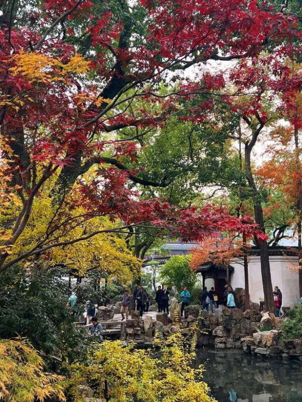 one-day-tour-in-shanghai-layover-friendly-the-bund-yu-garden