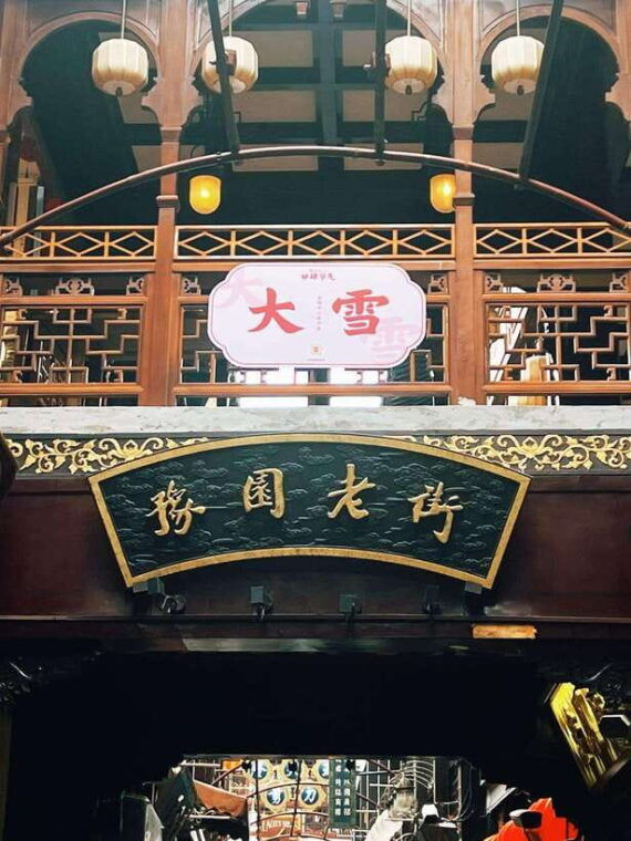 one-day-tour-in-shanghai-layover-friendly-the-bund-yu-garden
