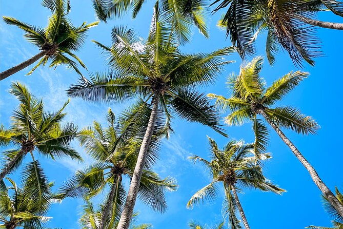 one-day-tour-isla-tortuga-with-lunch-from-puntarenas