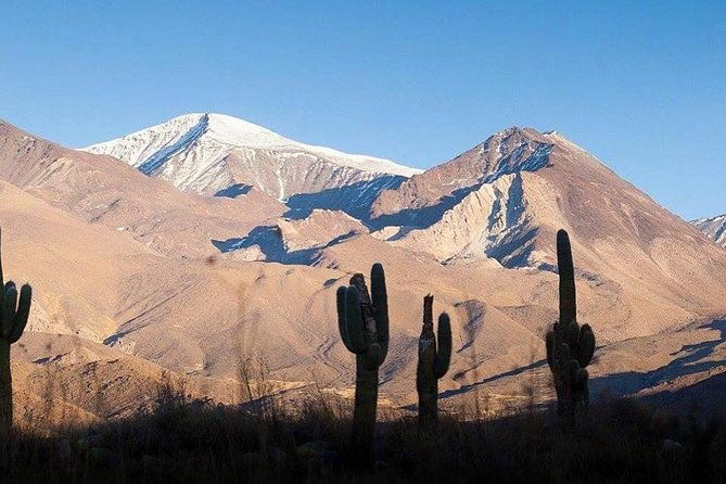 one-day-tour-of-cachi-and-calchaqui-valleys-from-salta