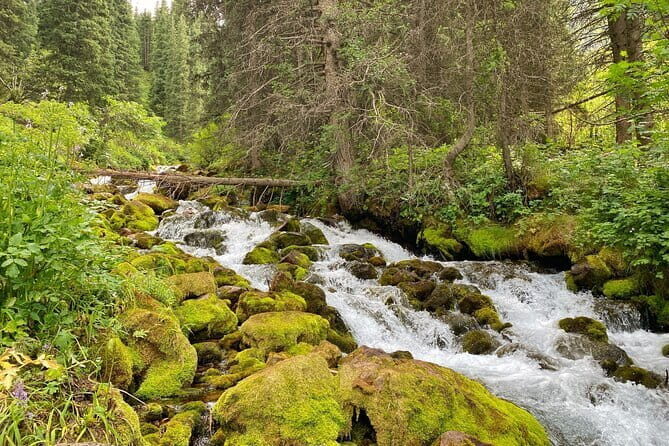 One Day Tour of the Magical Lake of Kol Tor - A Deep Dive into the Experience